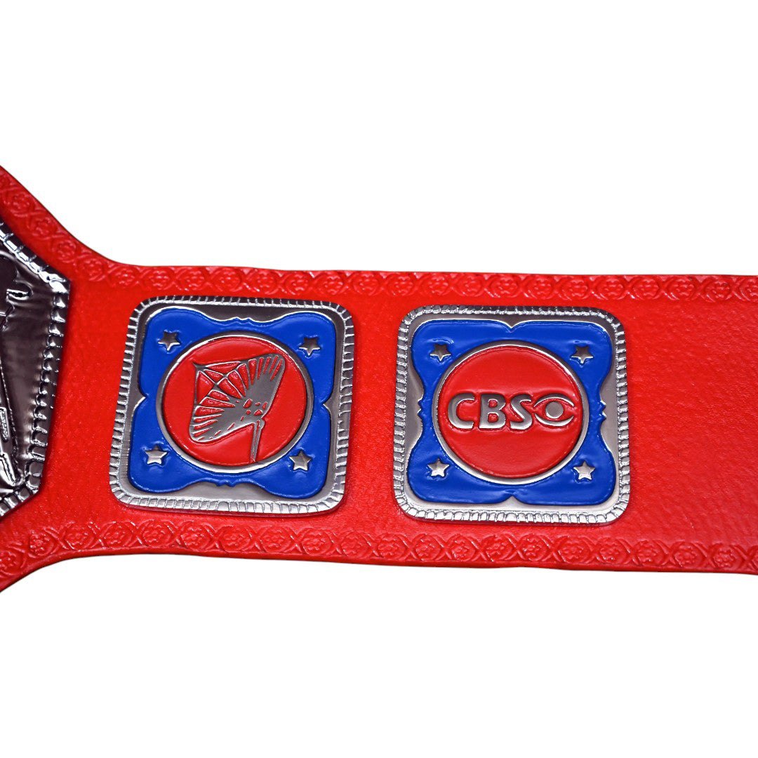 NWA TELEVISION CHAMPIONSHIP BELT – 4MM LEATHER & NICKEL-PLATED GLORY (FREE SHIPPING+BAG)